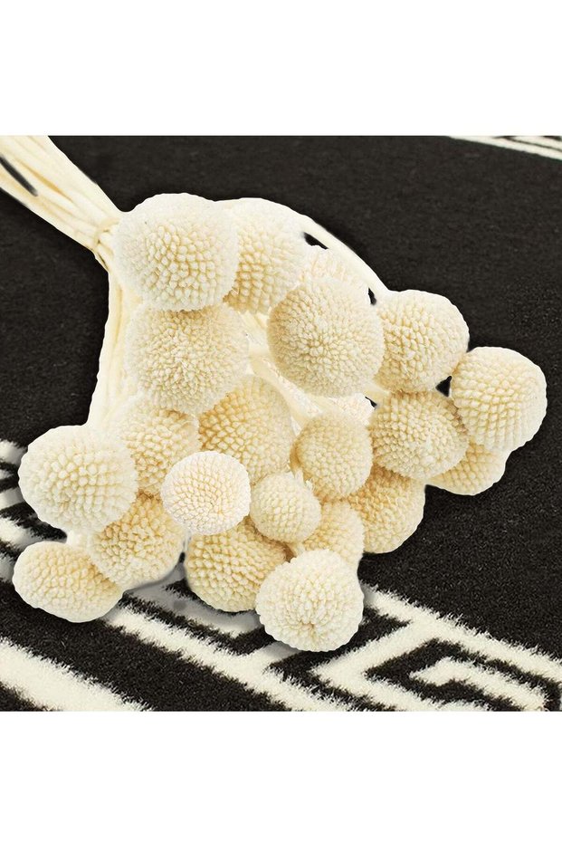 Dried Craspedia Flowers, 20Pcs Dried Billy on Balls Flowers for Home Office Party DIY Flower Arrang