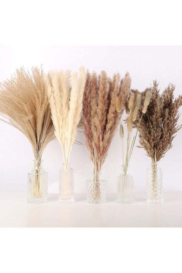 Dried Pampas Grass Decor- White Pampas Grass, Brown Pampas, Bunny Tail, Reed, Fluffy Dried Pompas G