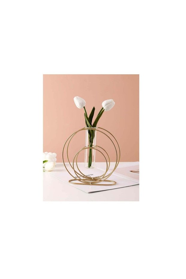 Glass Flower Vase with Metal Frame Stand Modern Creative Geometry Desktop Glass Planter Indoor Déco