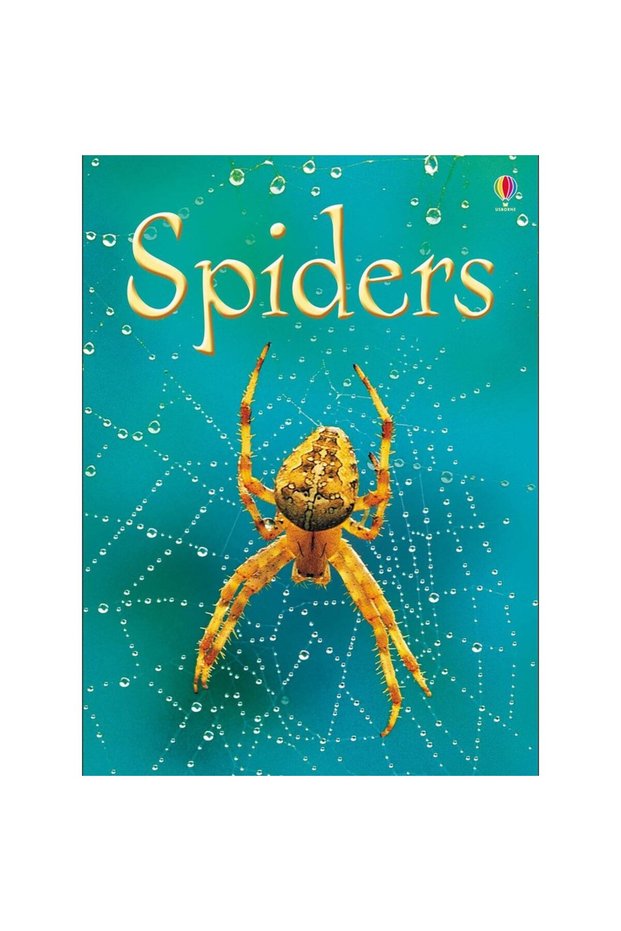 Beginners Spiders - Usborne Book (4+)