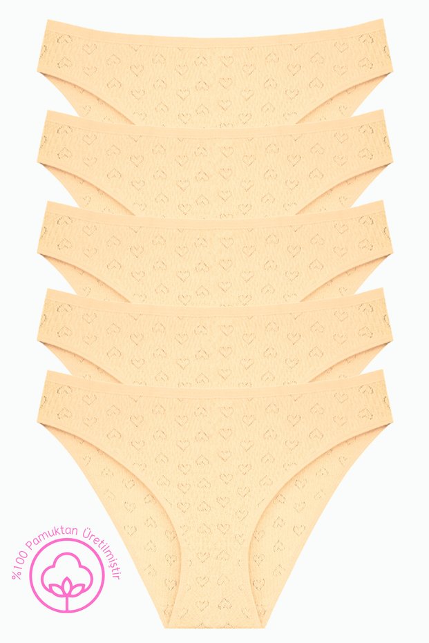 1501 Heart Patterned %100 Cotton 5-Piece Women's Bikini Brief Package