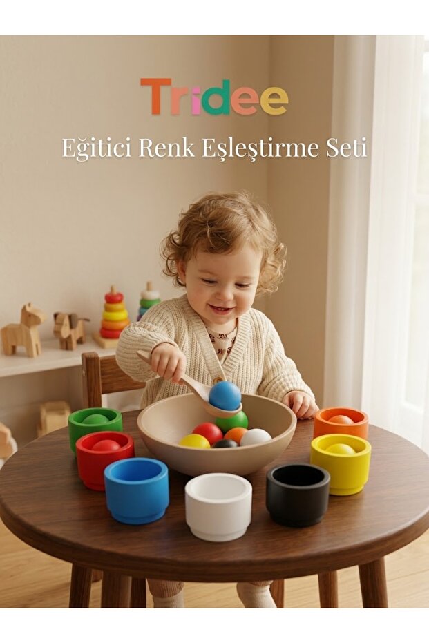 Eğitici Renk Eşleştirme Seti