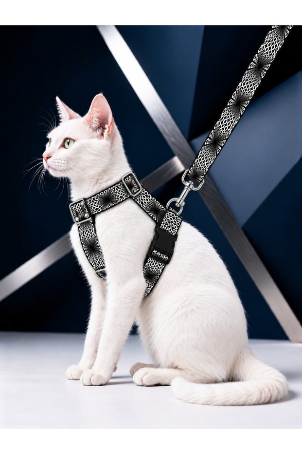 Cat Collar H Type Adjustable Chest and Strap Set