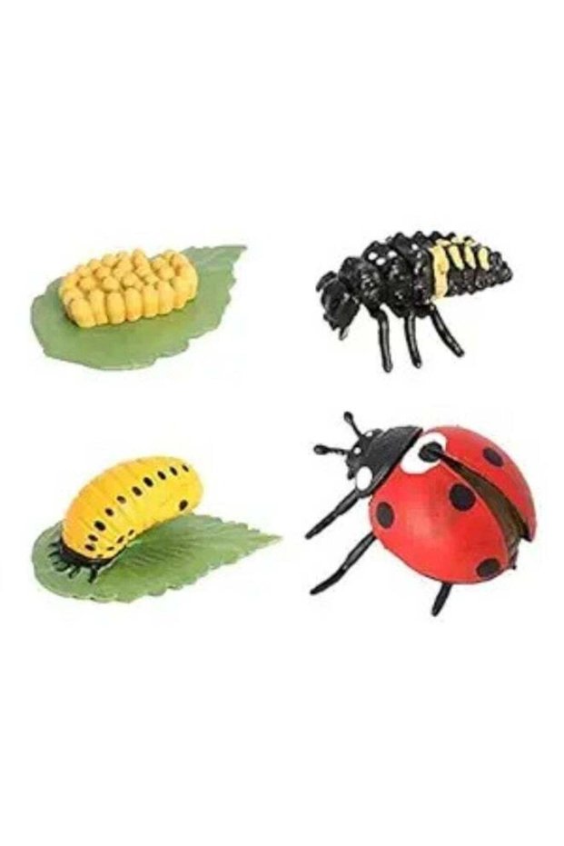 Life Cycle Seven Star Ladybug Educational Figure Set for Kids, Insect Growth Cycle Science Learning