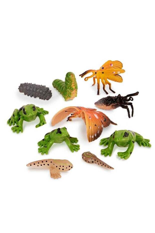 10 Pcs Metamorphosis Animals 4-8 Cm