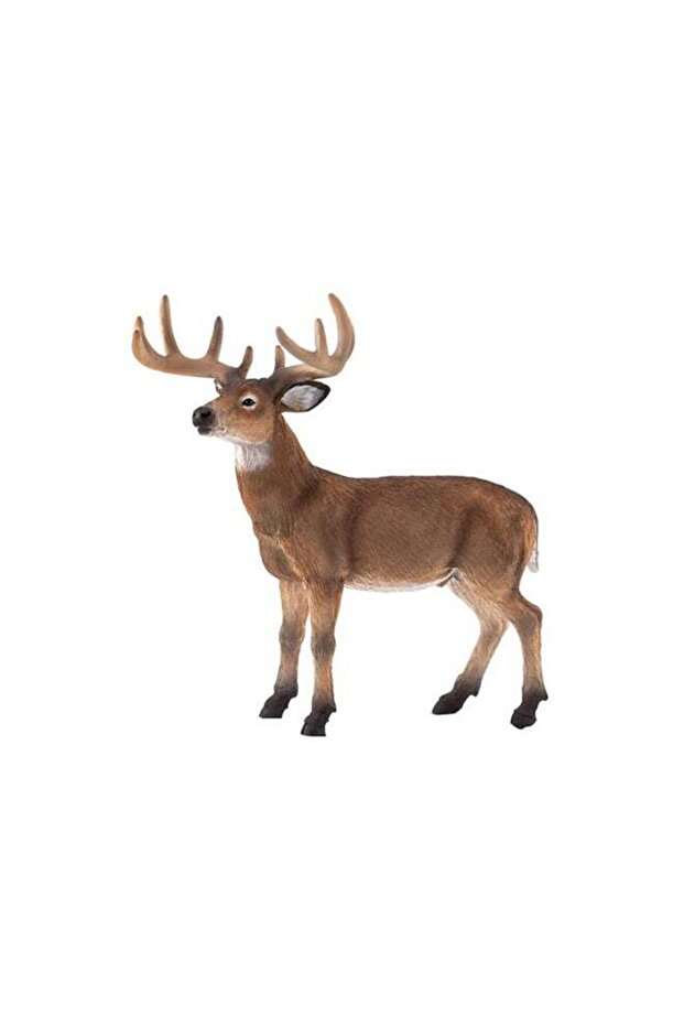 White Tailed Deer Buck 11.5x7x12.75cm