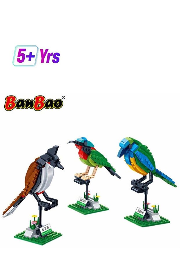 Banbao Birds Brick Set 408-Pieces Building Blocks | Educational Toy Set | Building Brick Kit for Ch