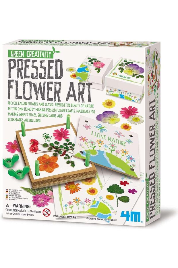 Green Creativity Pressed Flower Art