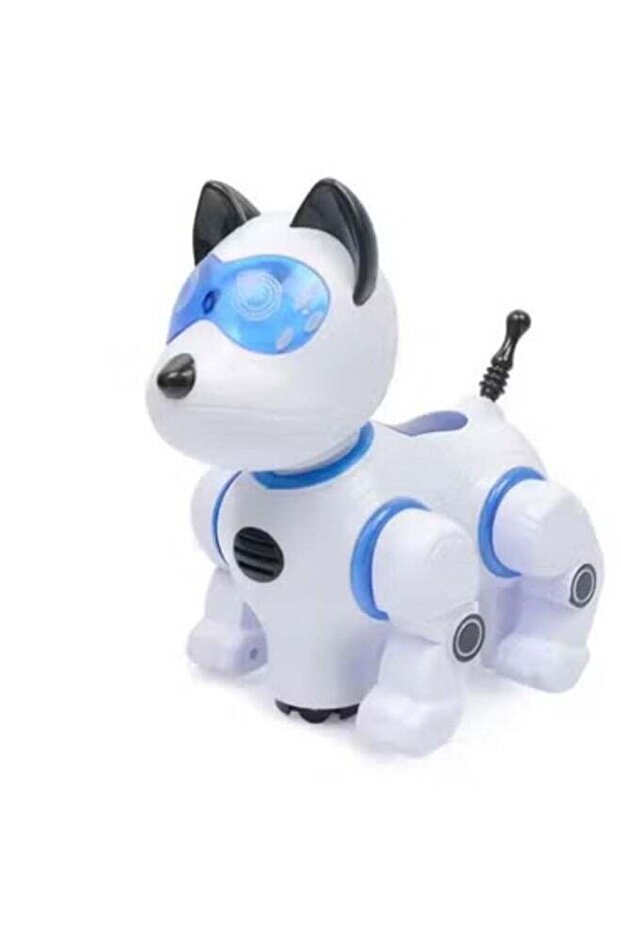 Multi-Function Intelligent Robot Dog with Remote Control Interactive Pet Toy for Kids Ages 3+, Fea