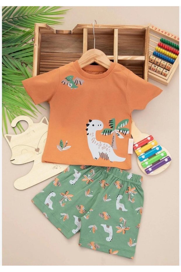 Boy's Printed Short Sleeve T-Shirt and Shorts 2-Piece Set3021-