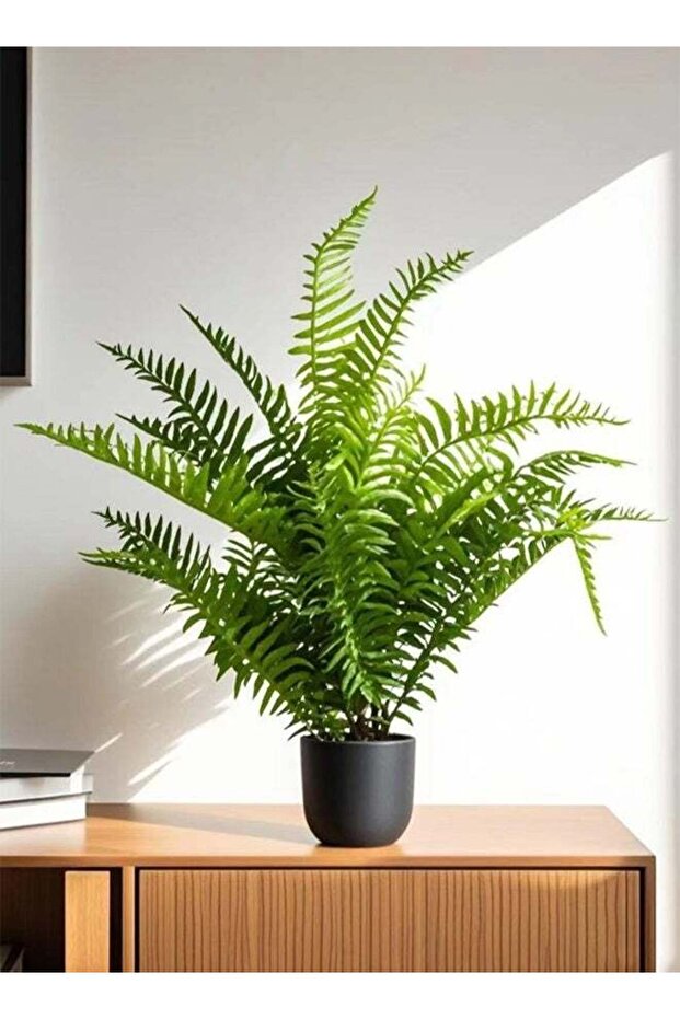 Kutis 1-Piece Artificial Plant with Pot For Home Garden Decor Green/Black Plastic 55 cm.