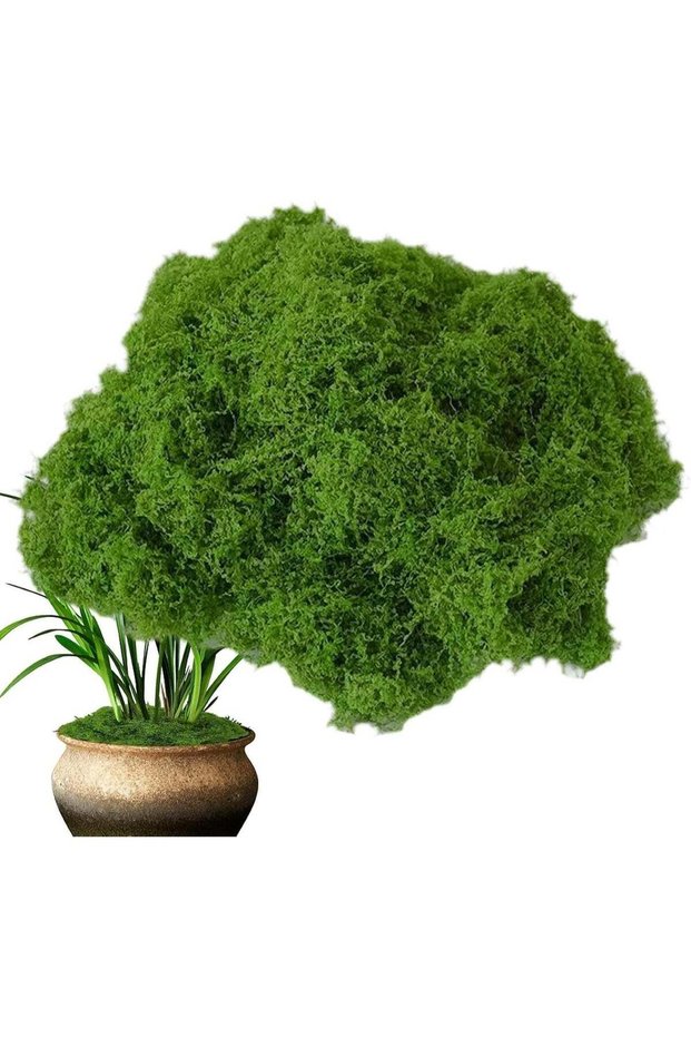 Artificial Fake Moss - 400g Natural Preserved Moss, Fake Craft Moss | Colorfast Potted Plant Center