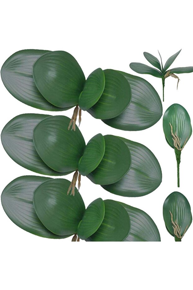 LATIFA 6 Pcs Artificial Phalaenopsis Orchid Leaves, 10 Inches, Green Faux Plant Decor