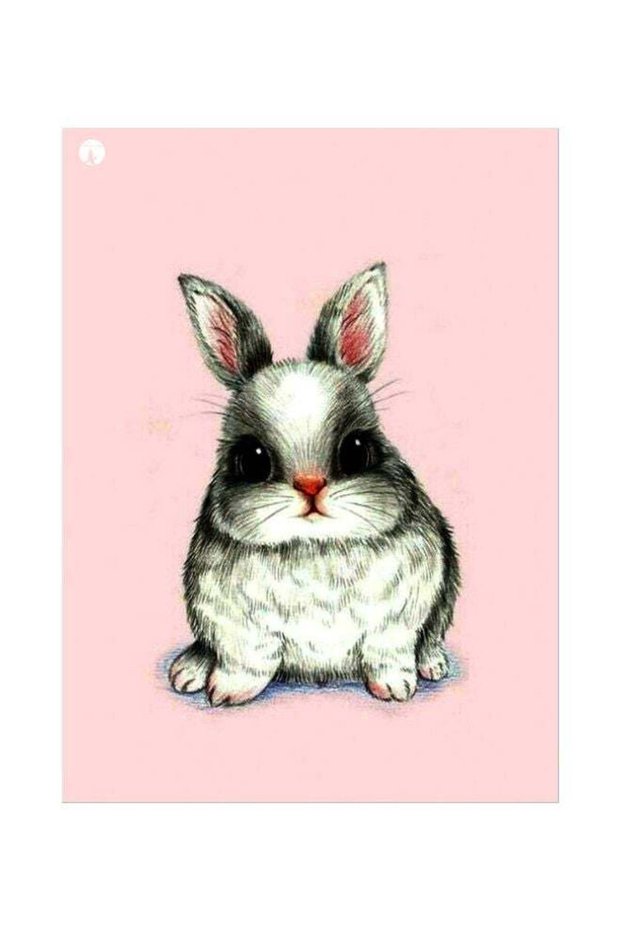 Animal Themed Metallic Plate Pink/White/Grey 20x15cm