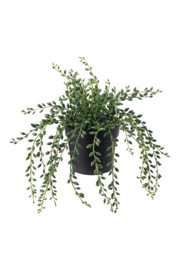 Potted Artificial Flower Green/Black 20cm