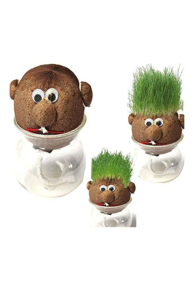 Growing Grass Head As Pictures Show As Pictures Show 860grams