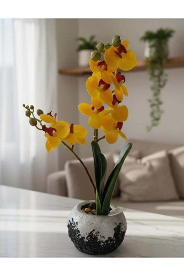 Next Rose Artificial Yellow Orchid Flower - Bright Blooms in Silver Toned Pot, Cheerful and Realist