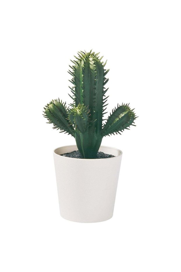 Artificial Potted Cactus Plant, In/Outdoor, Green, 14 cm