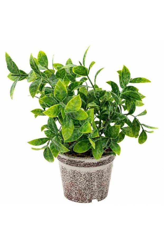 Vintage Artificial Plant in Pot, 23 cm – Decorative Faux Green Plant for Desk, Shelf, Living Room,