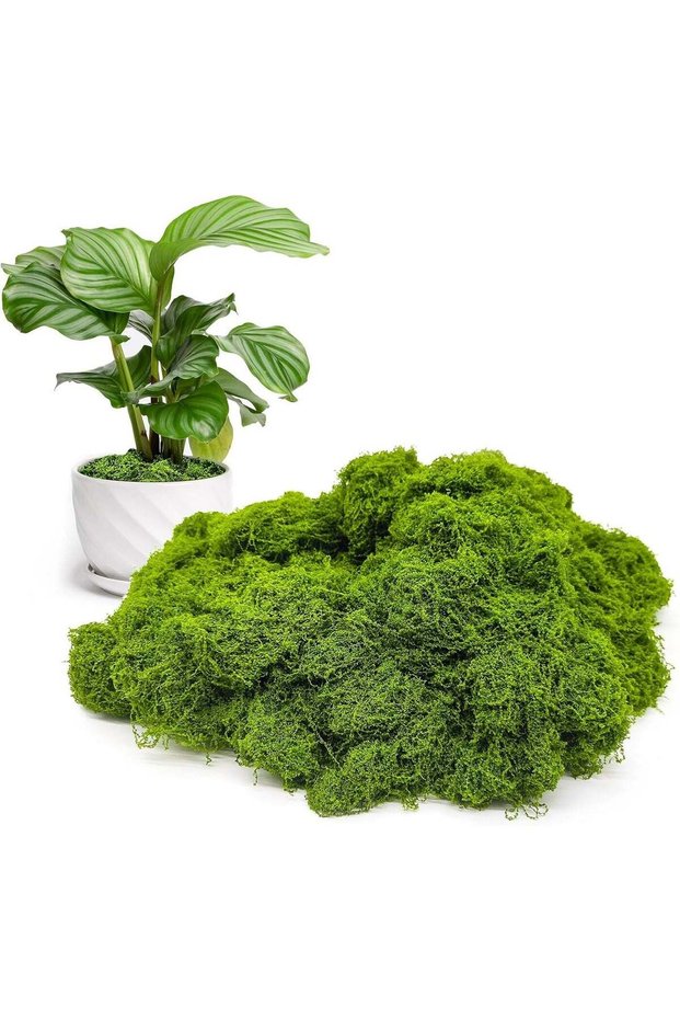 Fake Green Moss for Potted Plants Indoor, 5.3oz Artificial Moss for Crafts, Faux Moss Decor for Fai