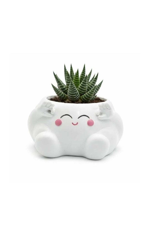 Clouds Design Flower Pot Sooper Polyresin Cute Smiling Cloud Succulent Planter Decorative Mini Vase