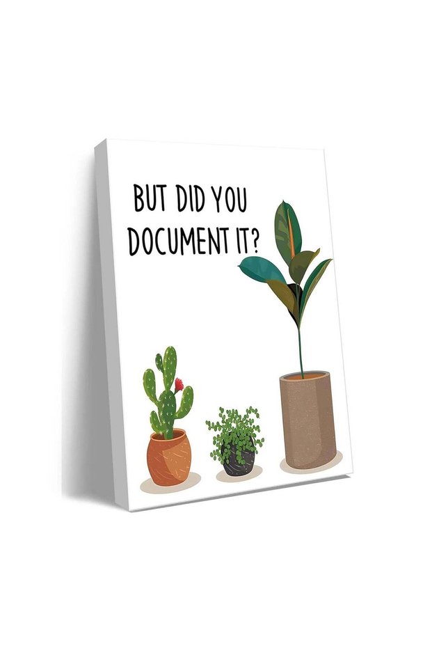 Ploceiny Funny Wall Art - But Did You Document It?