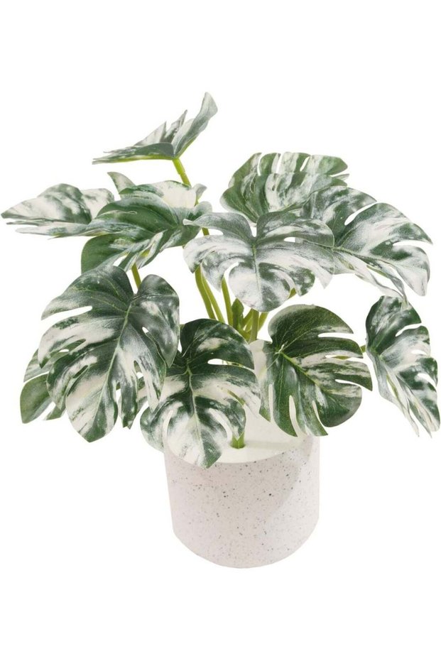 MARCOLO Artificial Mini Monstera Tree 25cm, Variegated Green and White Leaves, Tropical Home Decor