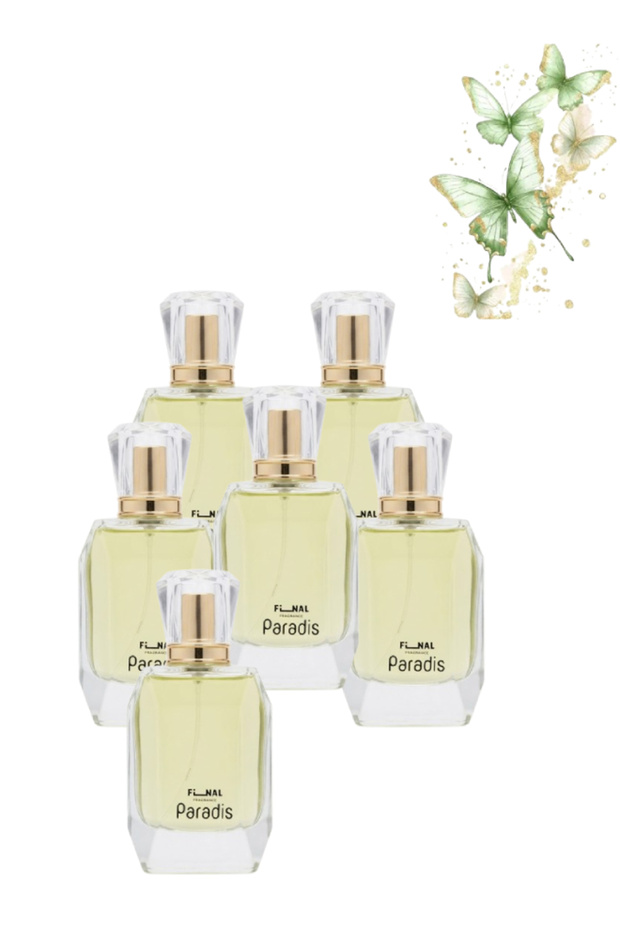 6 قطع Paradis Perfume 100مل