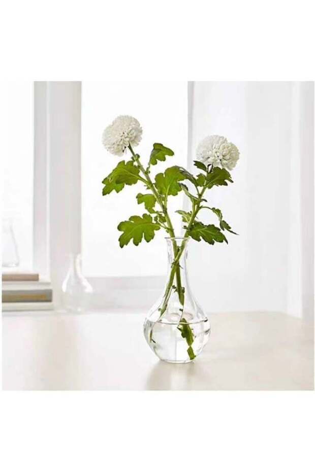 Glass Flowers Bottle Vase Transparent 3.5x17cm