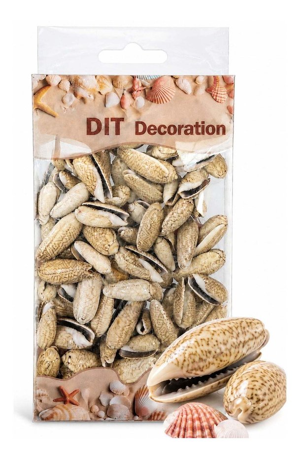Natural Ocean Sea Shells 400g, Assorted Beach Seashells for Arts & Crafts, Home Decor, Vase Filling