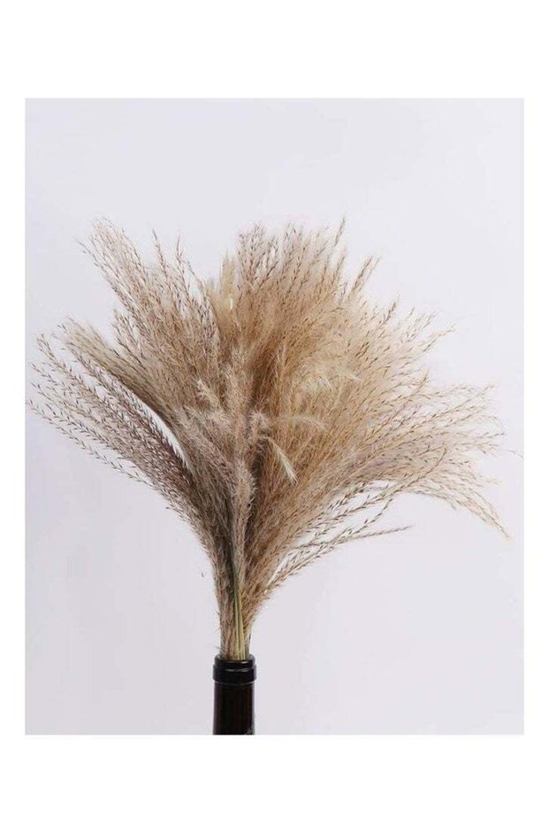Dried Reed Flower Bouquet For Home and Office Decoration Non Fading