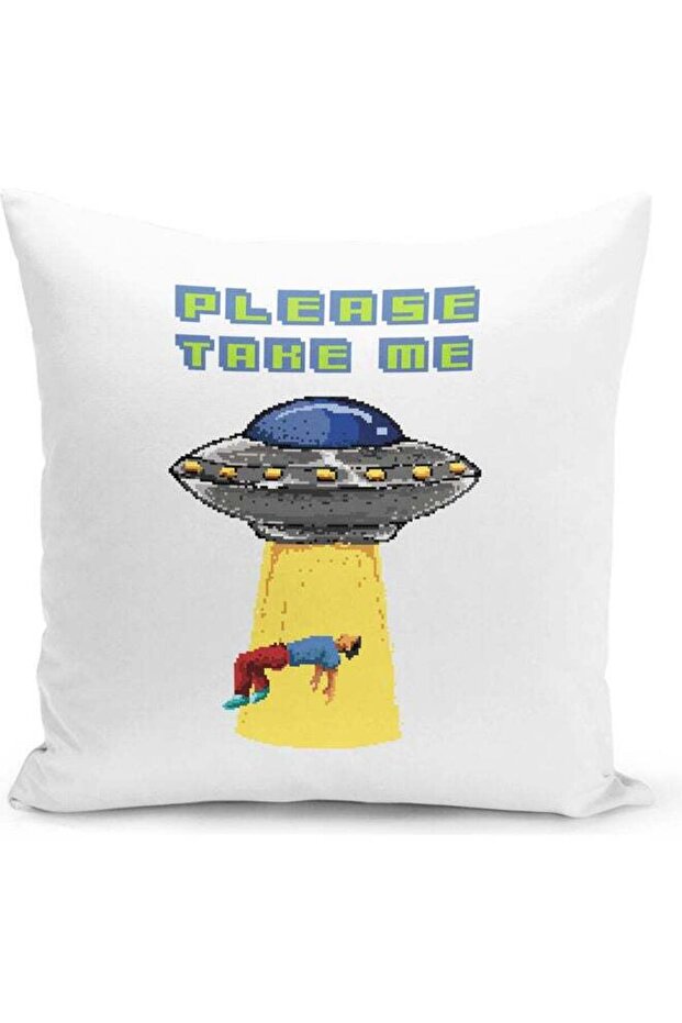 Please Take Me Decorative Throw Pillow White