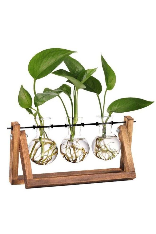 Plant Propagation Station, Wooden Stand Propagation Station Glass Bulb Vase, Desk Plants Holder Ret