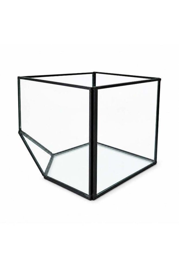 Modern Clear Glass Terrarium Planter with Black Metal Frame – Geometric Cube Glass Box for Succulen