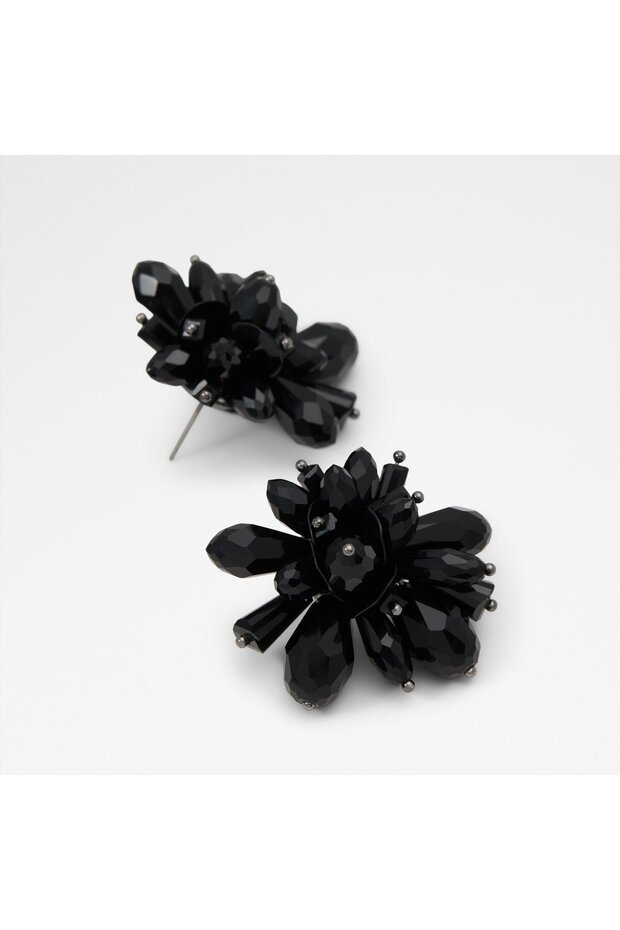 Soriya Ladies Black Earrings