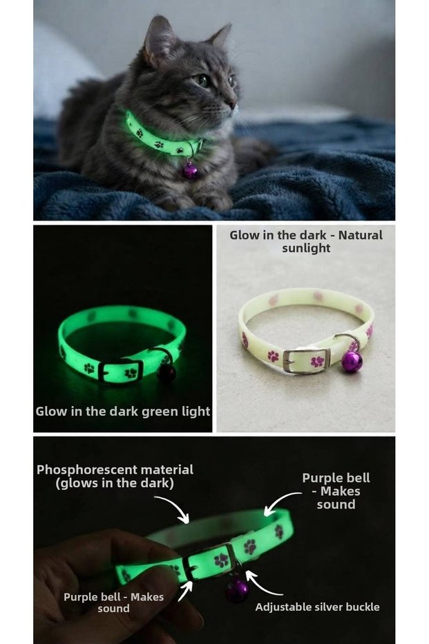 Cat Collar Night Glowing