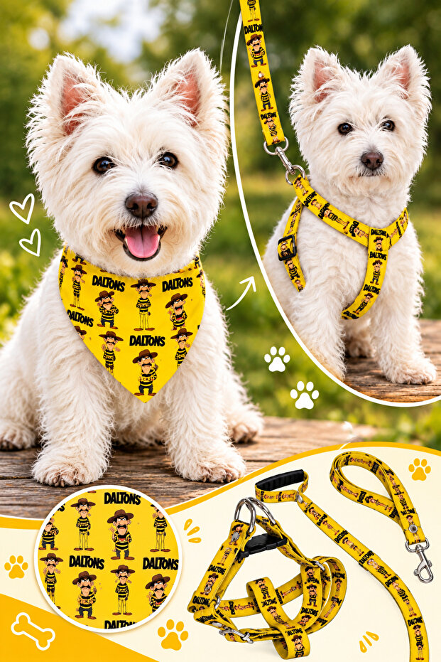 Adjustable Scarf, Chest Harness and Travel Strap Set of 3