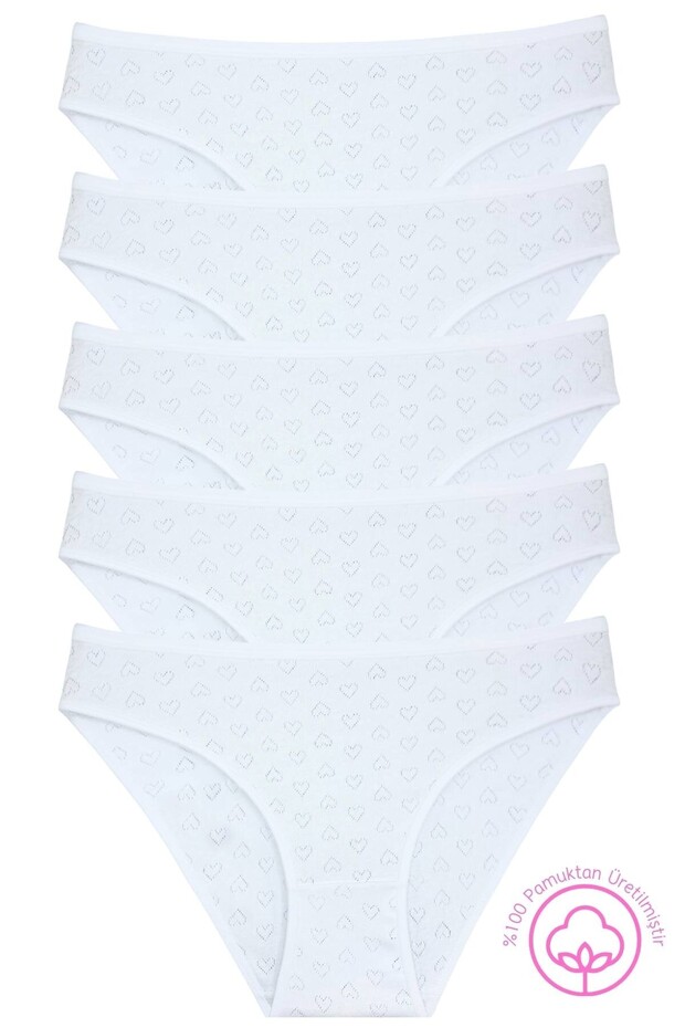 1501 Heart Patterned 100% Cotton 5-Piece Women's Bikini Brief Package 1501-v1