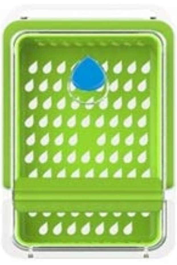 Fresh Herb Keeper Dew Green