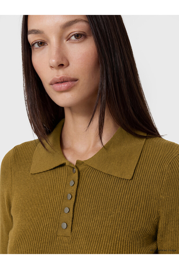 Alita City Farkıyla Lcw Studio Green Knitwear Plain Polo Neck Women's Sweater