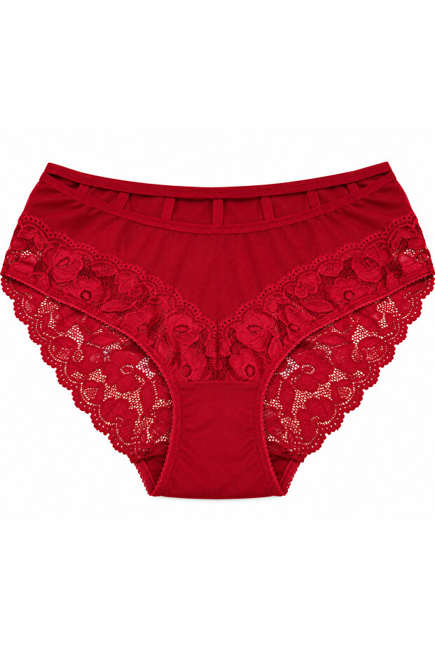 Plus Size Floral Lace Transparent Detailed Stretchy Women's Panties
