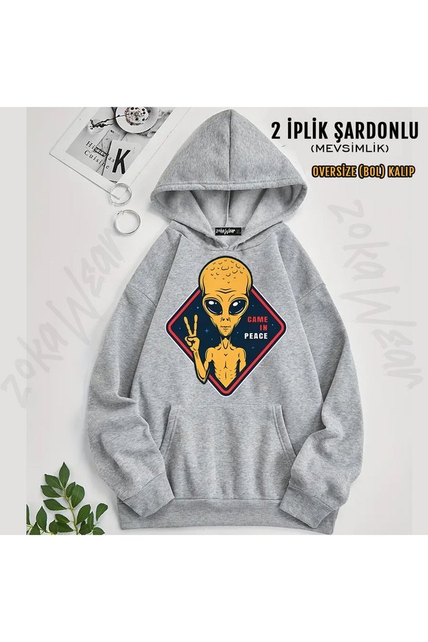 Came in Peace Alien Printed Hooded Sweatshirt