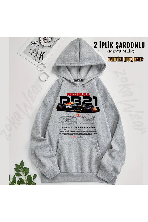 Max Verstappen Formula 1 V2 Printed Hooded Sweatshirt