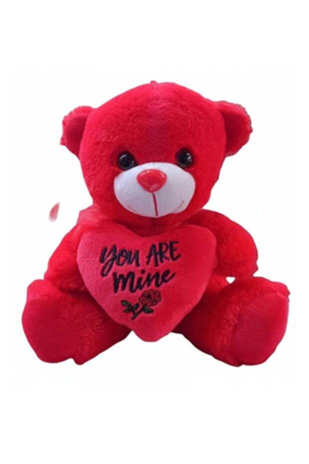 Plush Teddy Bear 25CM with “You Are Mine” Heart – Soft Stuffed Toy for Gifting