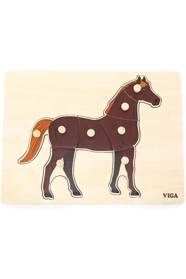 VIGA Horse 8 Piece Knob Puzzle - Montessori Wooden Toy for Kids