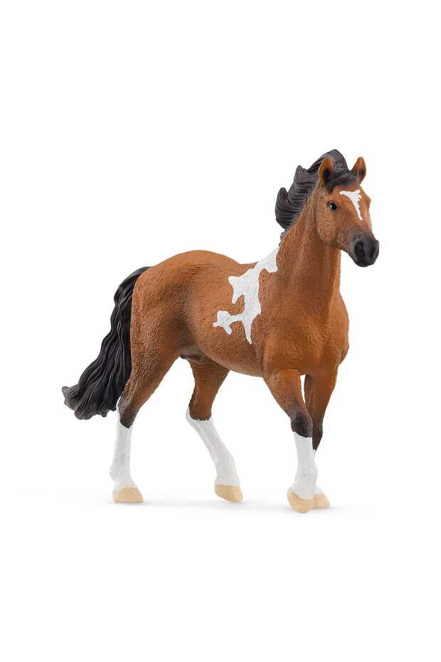 Schleich Horse Club Mangalarga Marchador Stallion Figure (17.5 x 4.3 x 11.3 cm, Brown)