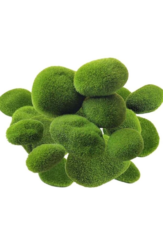 Pack of 10 Artificial Moss Balls 2 Sizes - Green Moss Balls for Decorative Purposes, DIY Crafts and