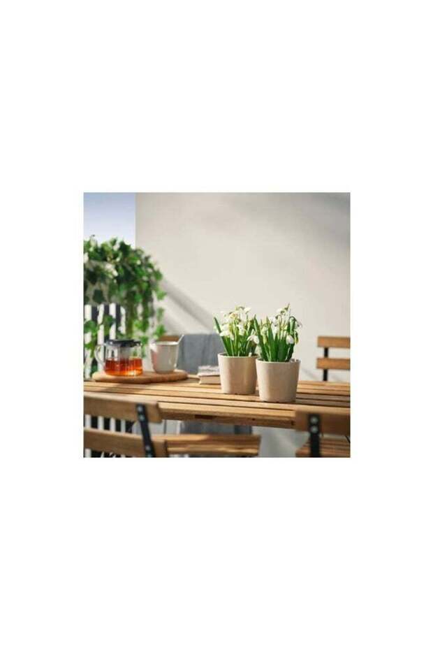 FEJKA Artificial potted plant, in/outdoor/snowdrop white, 9 cm