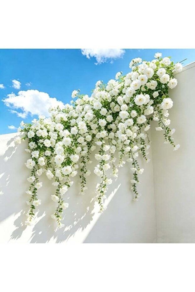 5pcs Artificial White Morning Glory Vines, Fake Greenery Hanging Vines for Wall Balcony Arch Decora