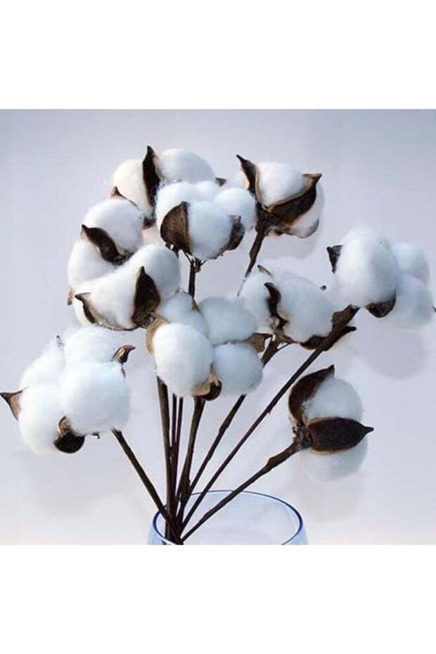 Pack of 10 Cotton Cotton Decorative Natural Artificial Branches Cotton Plants Decoration for Balcon